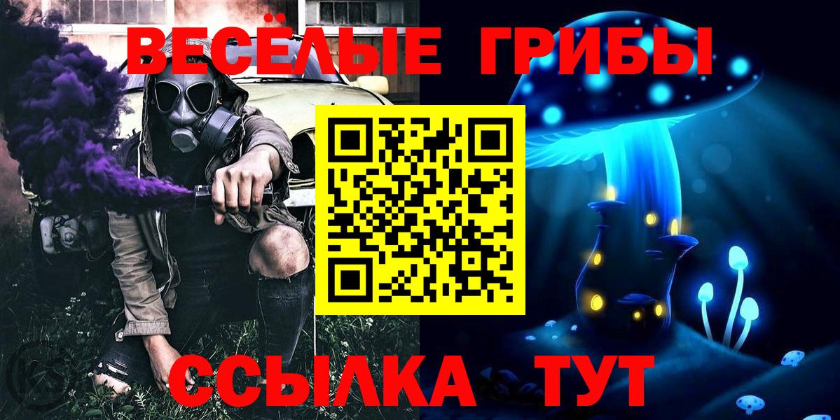 Псилоцибиновые грибы GOLDEN TEACHER  Вход с VPN  Троицк 