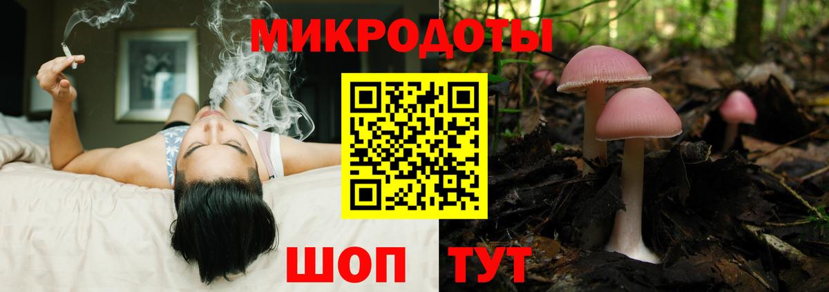 Галлюциногенные грибы Cubensis Троицк